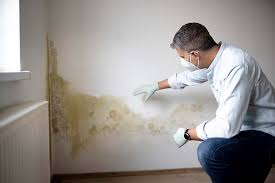 Why You Should Choose Our Mold Remediation Services in Mont Alto, PA